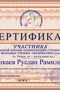 Миникаев Руслан Рамильевич